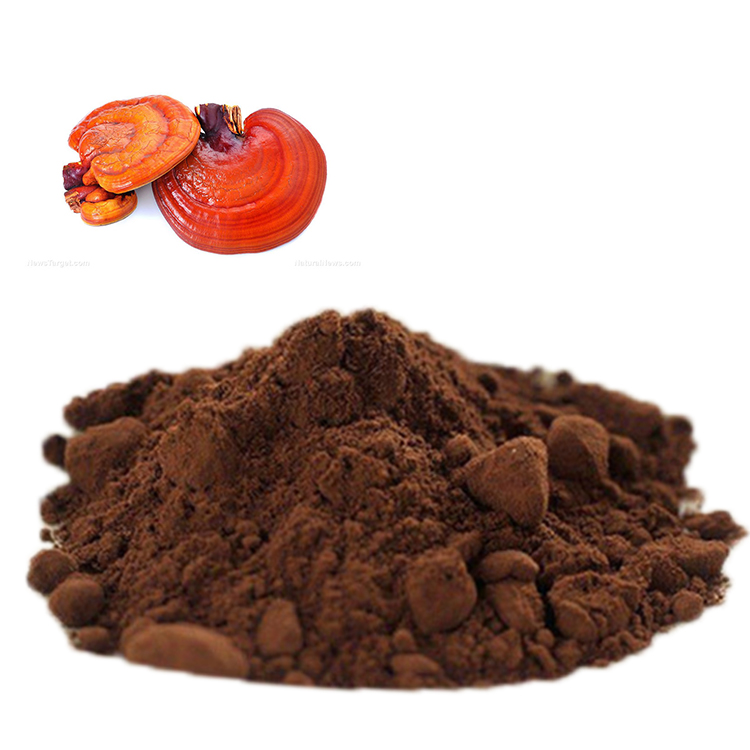 The Power of Organic Ganoderma Lucidum: Complete Guide